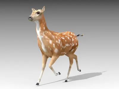 Female Deer Low-poly 3D model
