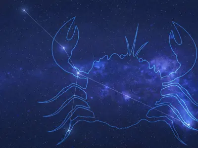 22 july Free 3D print model