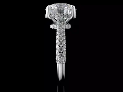 Gold N1563 3D print model