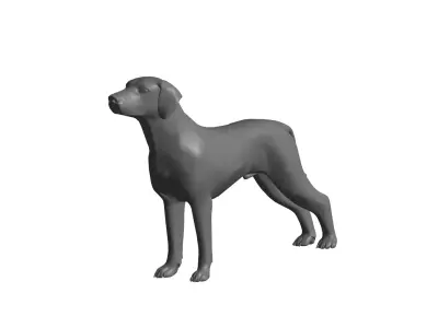 dog - 3D model 15