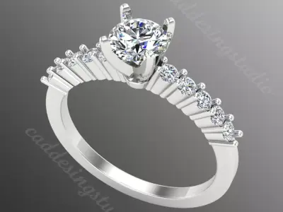 Ring iz73 3D print model