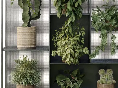 Standing Metal Shelf With A Set of Plants in Metal Boxes 121 3D model