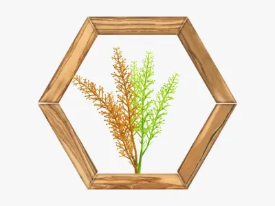 Frame with decorative artificial flower 3D model