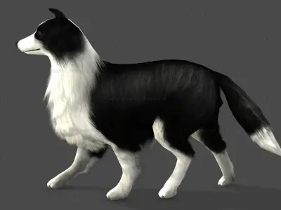 Sheep Dog Animated Low-poly 3D model