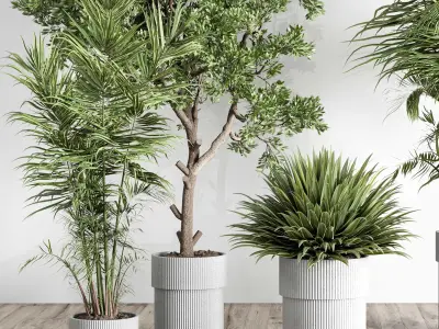 indoor plant set 442 plant tree palm grass bush Low-poly 3D model