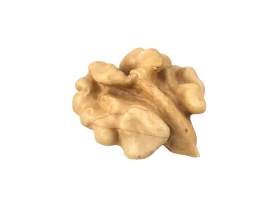 Photorealistic Walnut Kernel 3D Scan 3D model