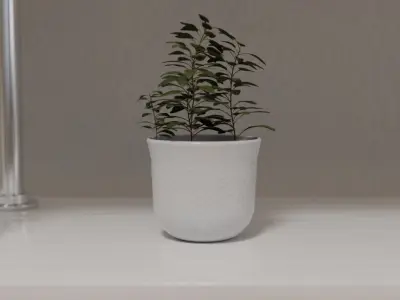 Pot plant 3D model