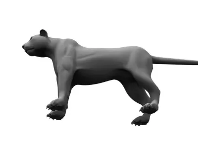 tiger3d model panther 3D model