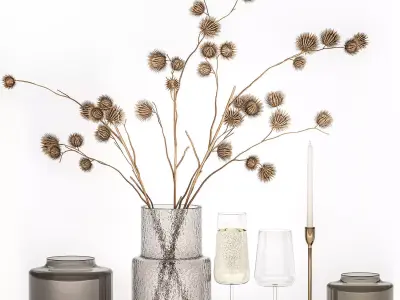 Bouquet Of Dry Thorns In A Glass Vase For Decor 3D model