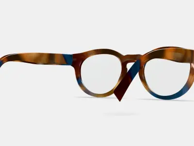 Tal Eyeglasses in Maritime Tortoise 3D model