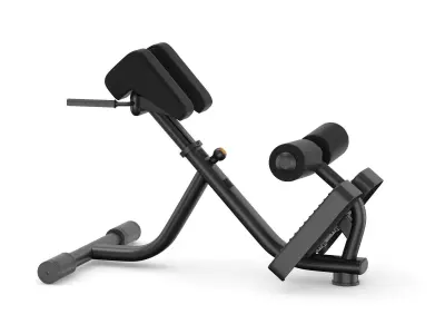 Technogym Element Lower Back Bench 3D model