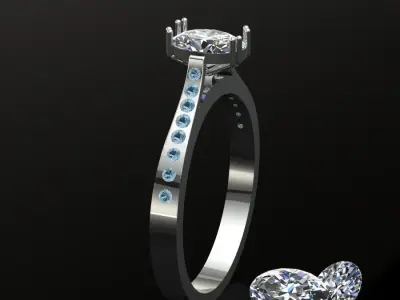 SP Rings 3D print model