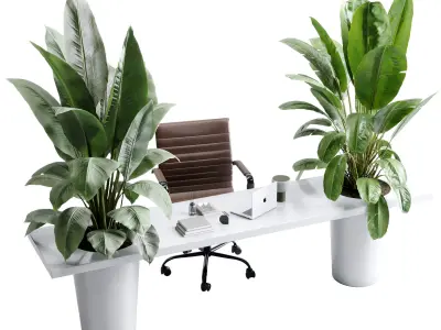 Workplace - Home office set - Office Furniture 50 3D model