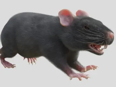 RET FOR VFX CGI 3D model