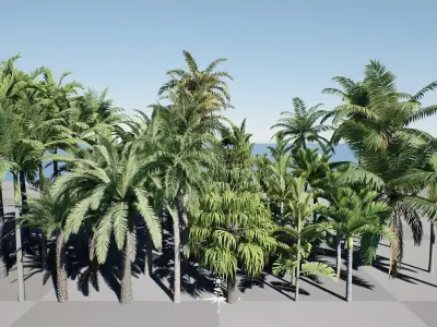 HQ Plants Volume 4 Palms for unreal engine 3D model set of 40 3D model
