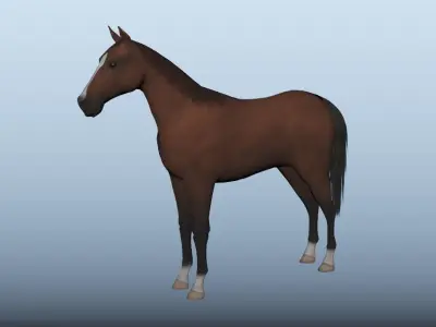 Horse Animated VFX Grace Low-poly 3D model