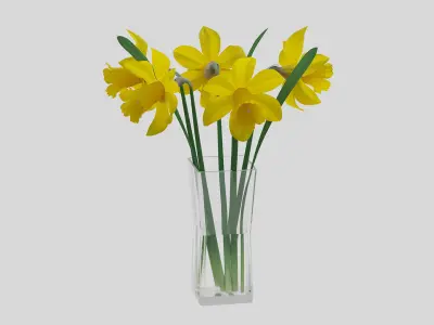 Yellow daffodils in a glass vase 3D model