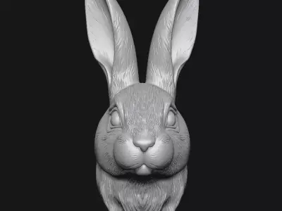 rabbit 3D print model