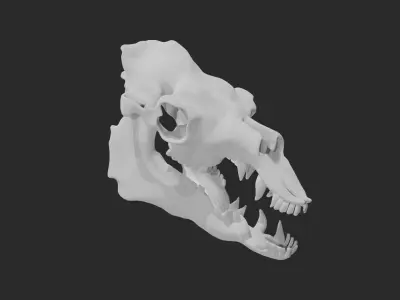 Skull of camel 3D model