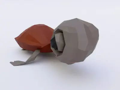 Baby turtle toon 3d model  Low-poly 3D model