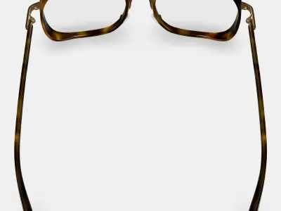 Fernanda Eyeglasses in Cognac Tortoise with Polished Gold 3D model