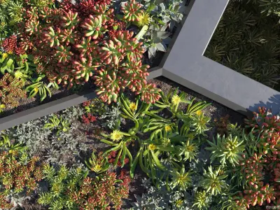 Maxtree Plant Models Vol 14 - Mesh 3D model