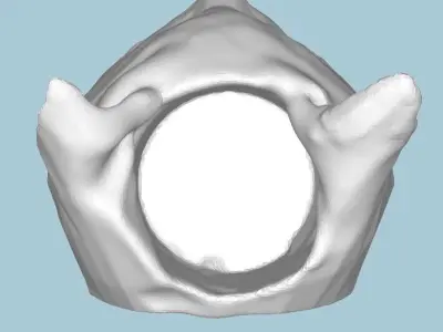 MakeIT Cat Vase Planter 3D Model 3D model