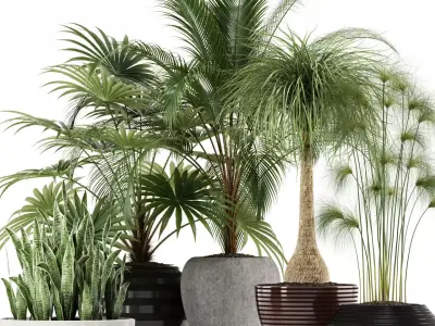 Plants collection 103 3D model