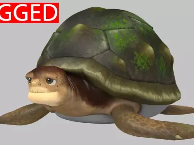 Turtle 3D model