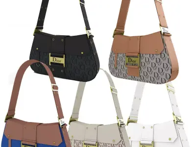Dior Street Chic Bag Collection 3D model