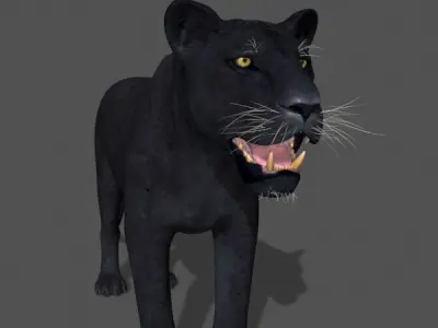 Panther no Fur - 3d model 3D model