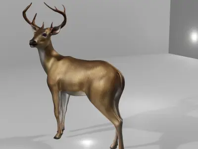 Deer realistic 3D model