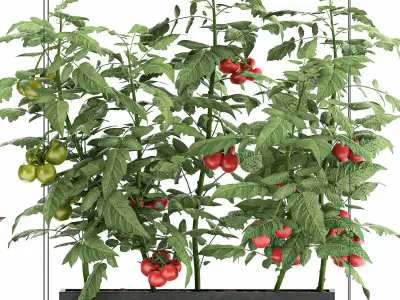 Vertical garden for the kitchen 70 3D model