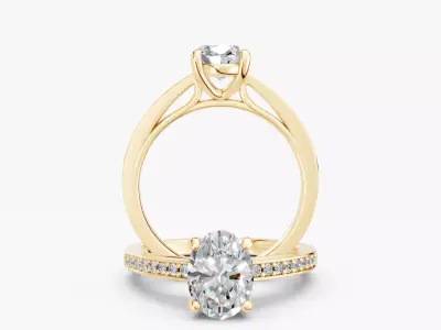 ZABS0016 OV engagement 3D print model