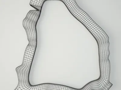 Teak root mirror 3D model