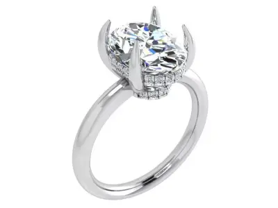 Oval Cut Ring 4248 3D print model