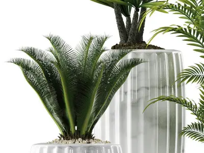 plants set 140 3D model