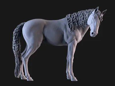 Mare Horse 3D print model