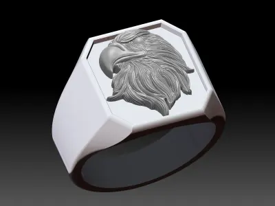 Eagle Head Cushion Man Ring Sculpture Jewelry Silver Gold  Print 3D print model