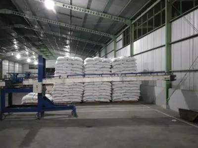 Inclination Loading Conveyor Free 3D model