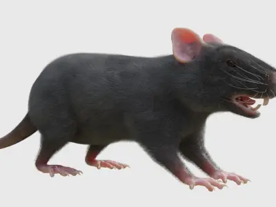 RET FOR VFX CGI 3D model