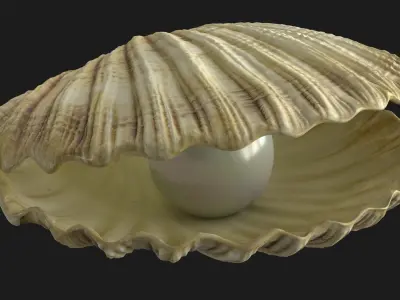 Sea Shell With Pearl Low-poly 3D model