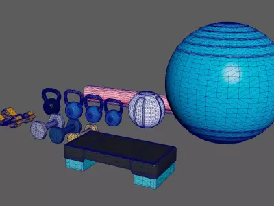 Home Gym Workout Gear 3D model