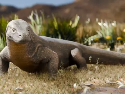KOMODO DRAGON Low-poly 3D model