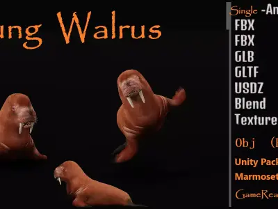 Walrus Low-poly 3D model