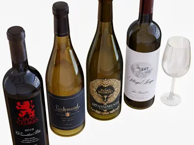 Wine bottle set 14 3D model