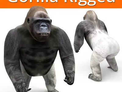  gorilla Rigged 3D Models game ready Low-poly 3D model
