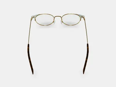 Patel Eyeglasses in Polished Gold with Chantilly 3D model
