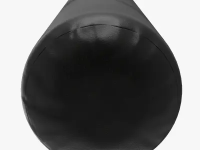 Punching Bag 3D model