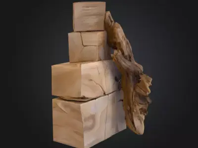 Fusion of Nature and Geometry Low-poly 3D model